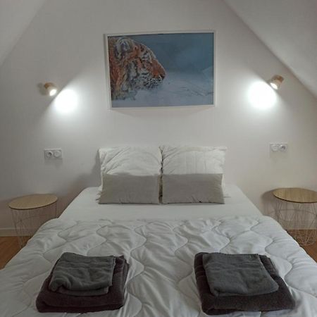 A 4 Min Du Zoo De Beauval La Maison A Partager Ch4 2Eme Etage Saint-Aignan  Ngoại thất bức ảnh