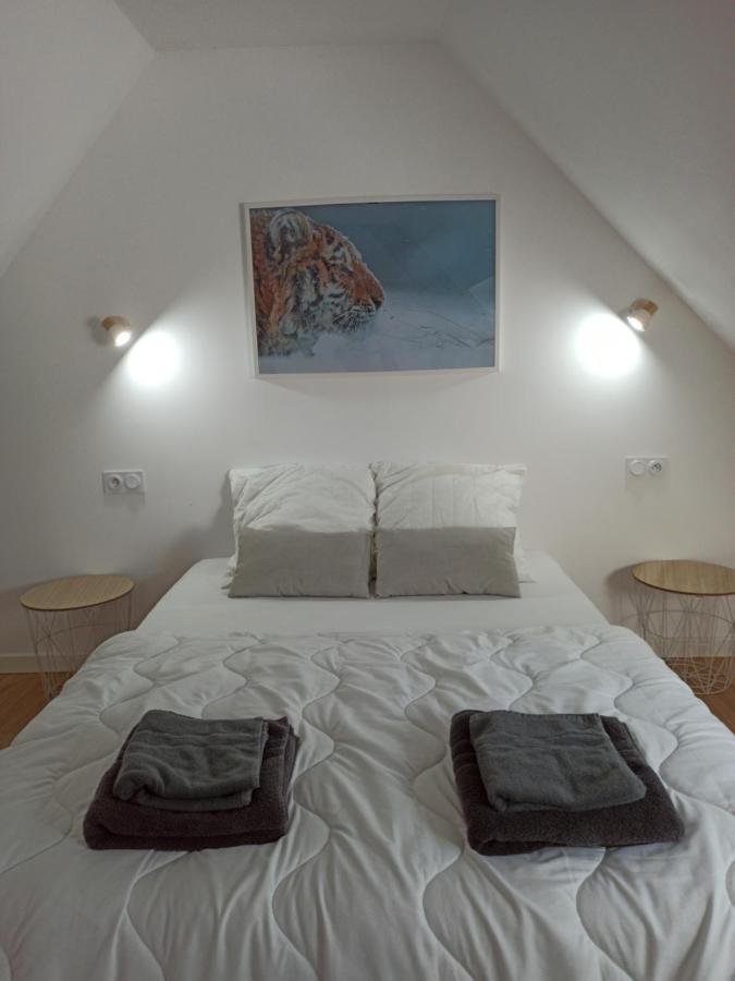 A 4 Min Du Zoo De Beauval La Maison A Partager Ch4 2Eme Etage Saint-Aignan  Ngoại thất bức ảnh